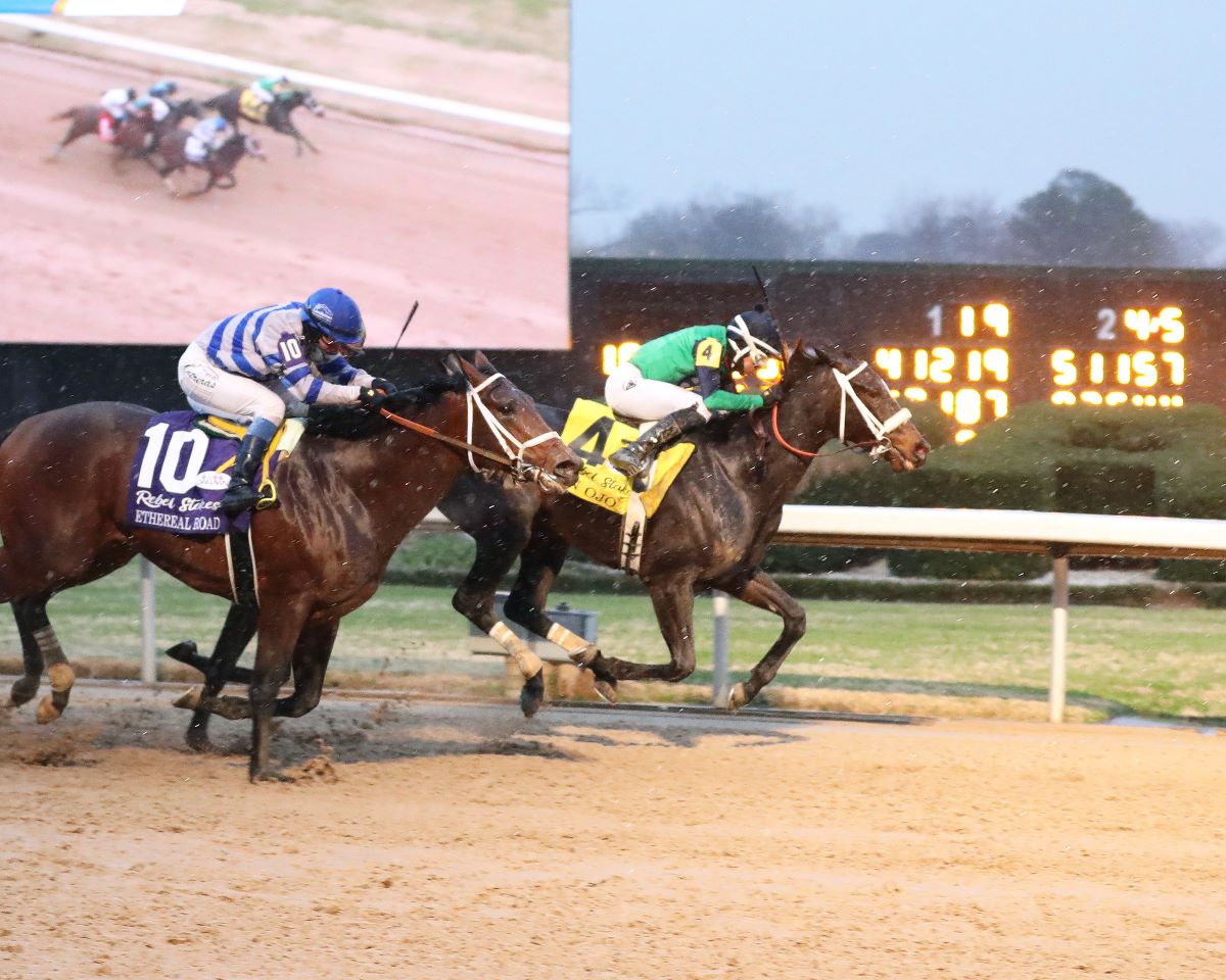 Un Ojo-Out of Preakness