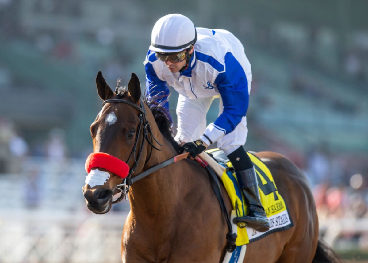 Venetian Harbor Skipping Oaks