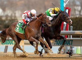 Weyburn (inside) held off a surging Crowded Trade to win the Grade 3 Gotham in February. The two tangle again in the Grade 2 Wood Memorial Saturday at Aqueduct. (Image: Sarah Andrew)