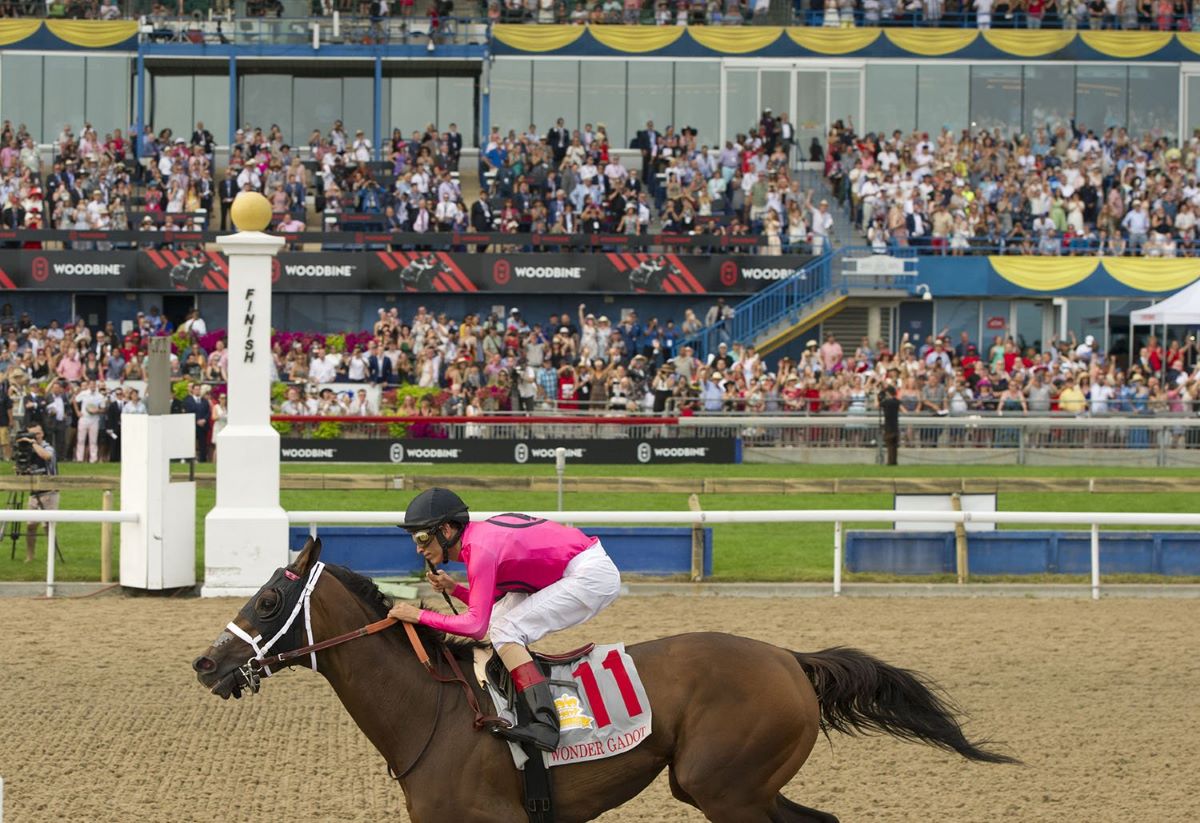 2018 Queen's Plate-Wonder Gadot