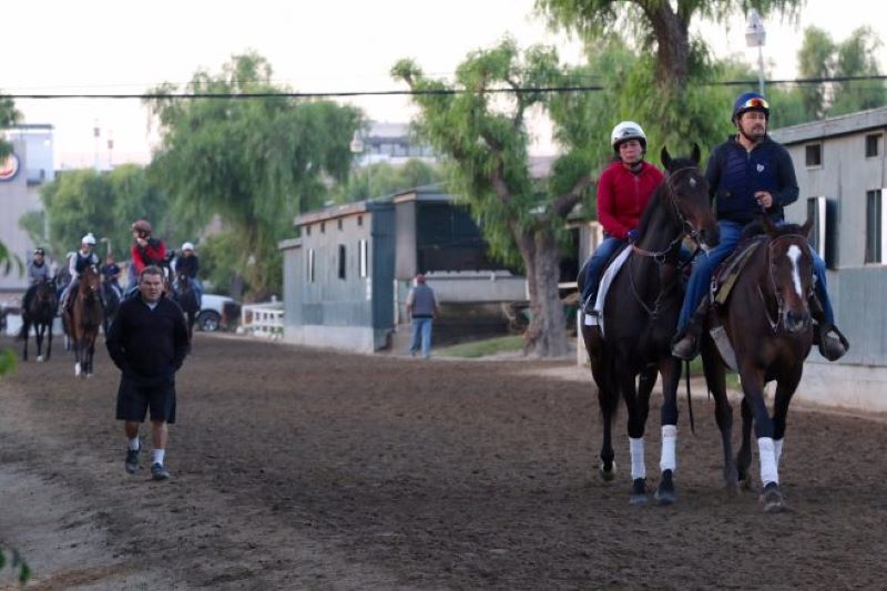 Santa Anita Backstretch 2