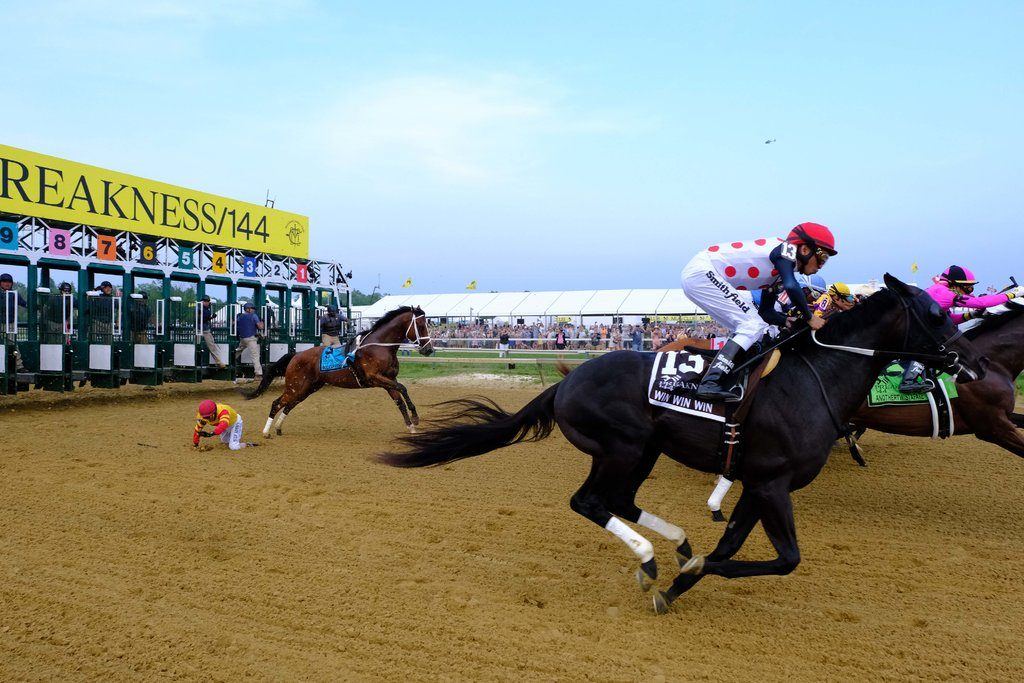 Bodexpress Preakness