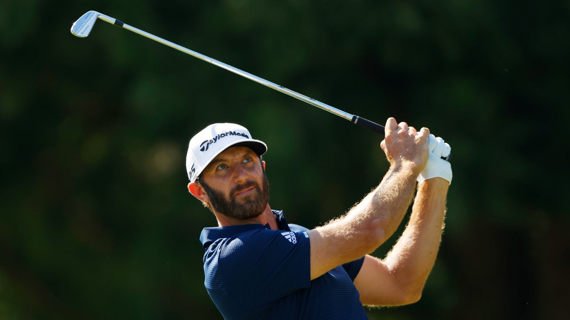 Dustin Johnson US Open odds