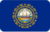 New Hampshire state flag