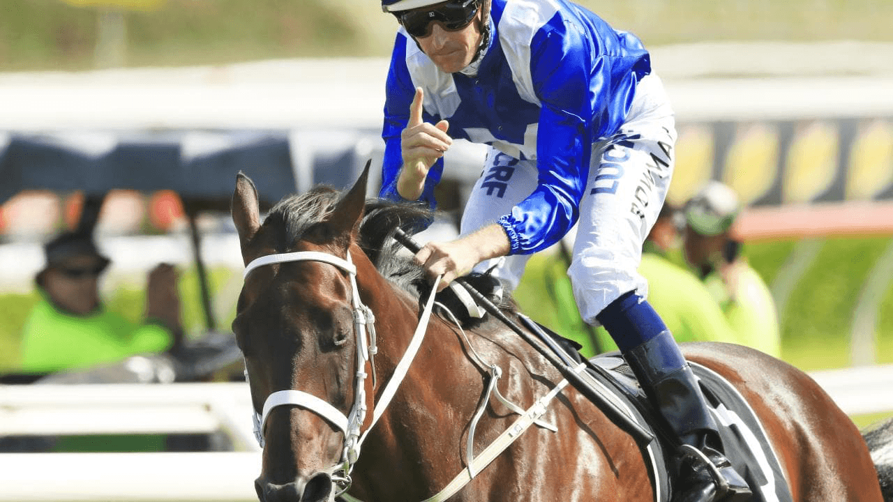 Winx in Australia