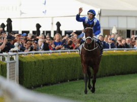 Winx under jockey Hugh Bowman salutes the fans. (Image: Getty Images)