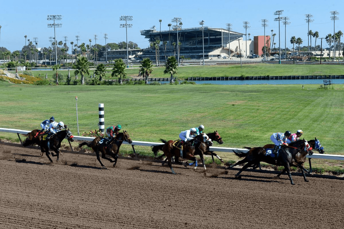 California racing at Los Alamitos