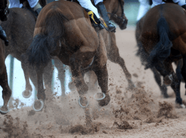 High tech equipment to be used to solve the mystery of equine deaths at Santa Anita (Image: racingtv.com)