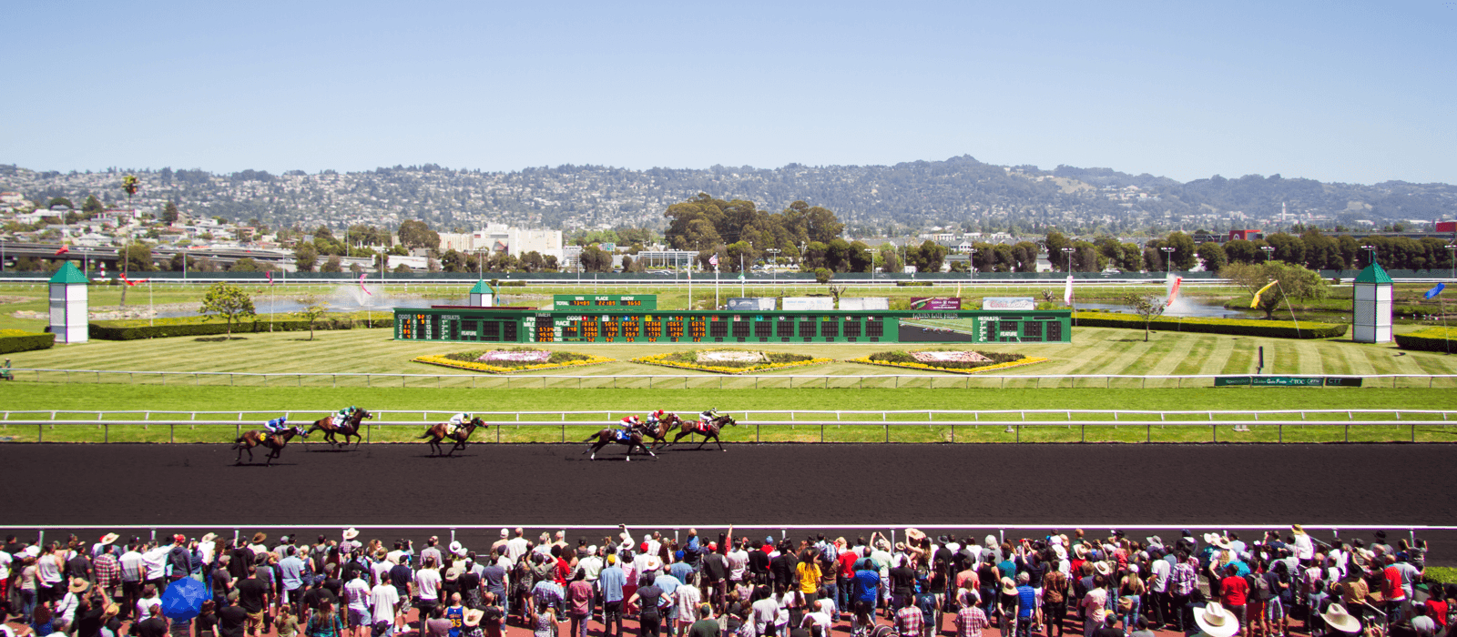 Golden Gate Fields, along the shoreline of San Francisco Bay