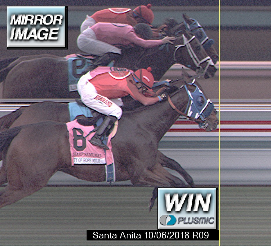 Sharp Samurai vs. Fly to Mars photo finish