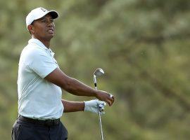 Tiger Woods has new irons in his bag this week and is a 25/1 pick to win the Wells Fargo Championship. (Image: Getty)