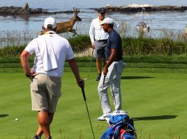 Tiger Woods gets in some practice at the US Open on Monday, and is joined by a buck who decided to wander on the course. (Image: USA Today Sports)