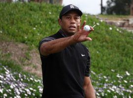 Tiger Woods practices at Torrey Pines Golf Course on Tuesday in preparation for this weekâ€™s Farmers Insurance Open. (Image: K.C. Alfred/The San Diego Union-Tribune)